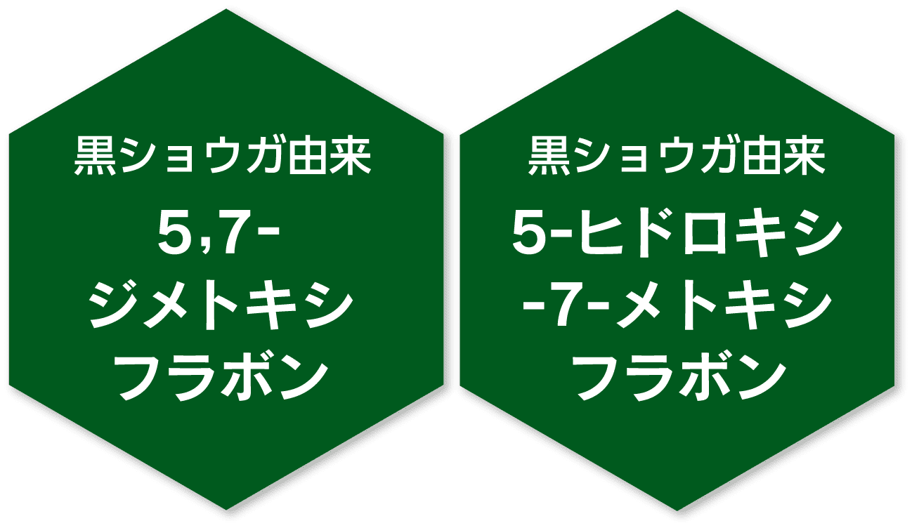 黒ショウガ由来5,7-ジメトキシフラボン黒ショウガ由来5-ヒドロキシ-7-メトキシフラボン