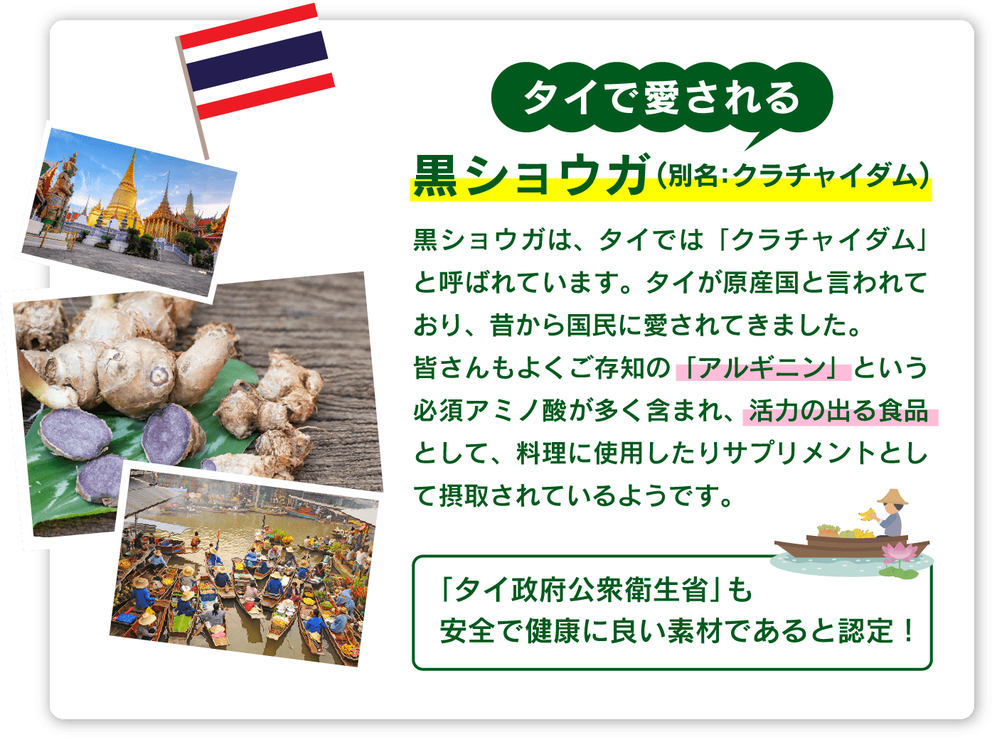 タイで愛される黒ショウガ（別名：クラチャイダム）